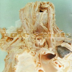 In Ribbons album by Pale Saints