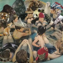 Person Pitch album by Panda Bear