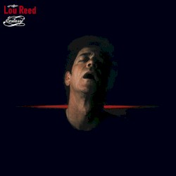 Ecstasy album by Lou Reed