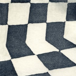 The Flower Lane album by Ducktails