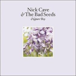 Nature Boy album by Nick Cave and the Bad Seeds