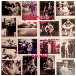 Wedlock album by Sunburned Hand of the Man