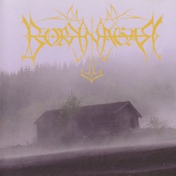 Borknagar album by Borknagar