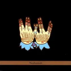 Neshamah album by Tim Sparks