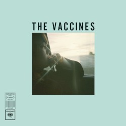 Wetsuit / Tiger Blood album by The Vaccines