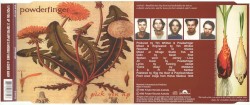 Pick You Up album by Powderfinger