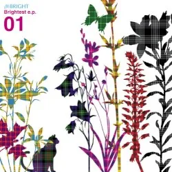 Brightest e.p.01 album by Bright