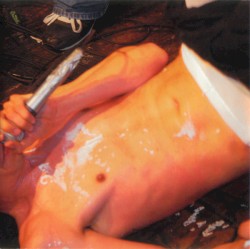 Alienating Our Audience album by Mindless Self Indulgence
