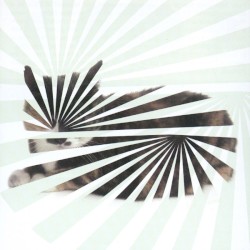 Poor Aim: Love Songs album by The Blow
