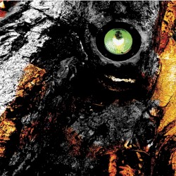 Code Noir album by The Legendary Pink Dots