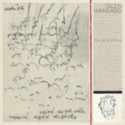 This Wild Willing album by Glen Hansard