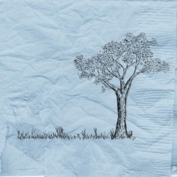 Summer album by Jon Foreman