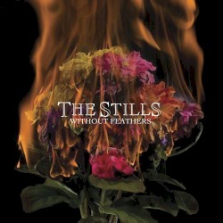 Without Feathers album by The Stills