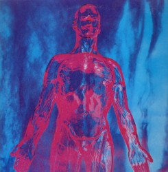 Sliver album by Nirvana