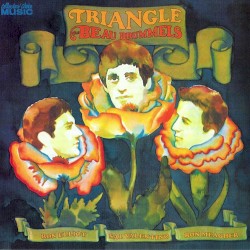 Triangle album by The Beau Brummels