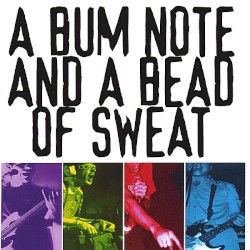 A Bum Note and a Bead of Sweat album by Baboon