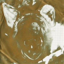 Ancient Skin / Necrolust album by Mayhem