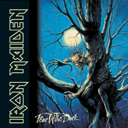 Fear of the Dark album by Iron Maiden