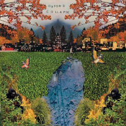 Some Wilderness album by Oxford Collapse