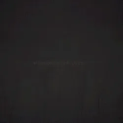 Without Your Love