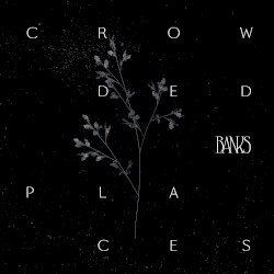Crowded Places album by Banks