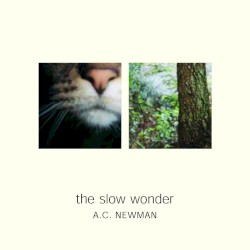 The Slow Wonder album by A. C. Newman