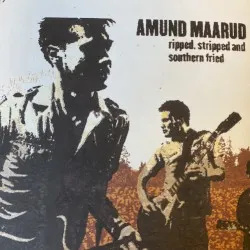 Ripped, Stripped and Southern Fried album by Amund Maarud