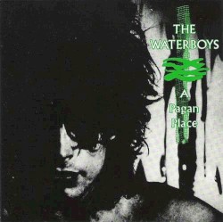 A Pagan Place album by The Waterboys