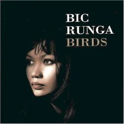 Birds album by Bic Runga