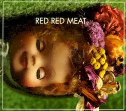 Bunny Gets Paid album by Red Red Meat