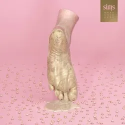 More Than Ever album by Sims