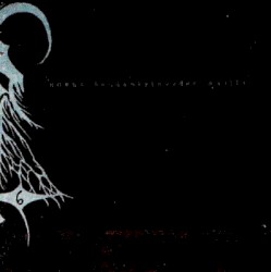 Haudankylmyyden Mailla album by Horna