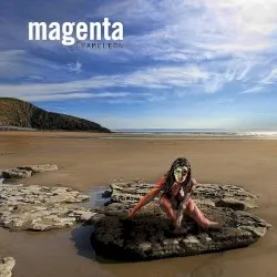 Chameleon album by Magenta