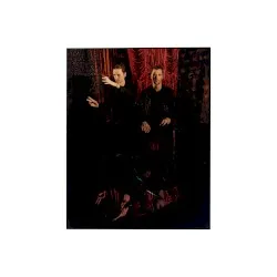 Inside the Rose album by These New Puritans