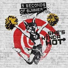 She's Kinda Hot album by 5 Seconds of Summer