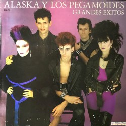 Grandes éxitos album by Alaska y los Pegamoides