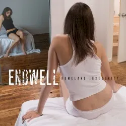 Homeland Insecurity album by Endwell