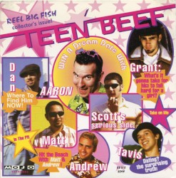 Teen Beef album by Reel Big Fish