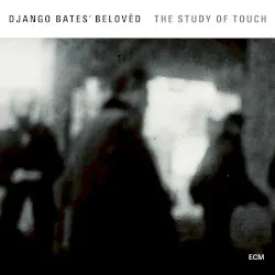 The Study of Touch album by Django Bates