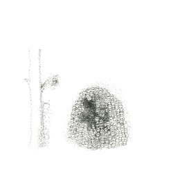 Warzone album by Yoko Ono