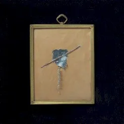 Promised Works album by The For Carnation