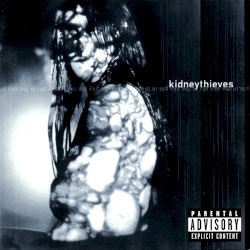 Phi in the Sky album by Kidneythieves