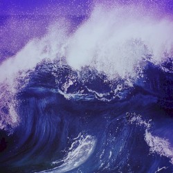 Young and Menace album by Fall Out Boy