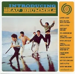 Introducing The Beau Brummels album by The Beau Brummels