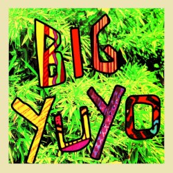 Big Yuyo album by Los Pericos
