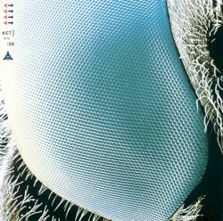 Fogbound album by Boom Boom Satellites