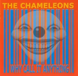 Why Call It Anything? album by The Chameleons
