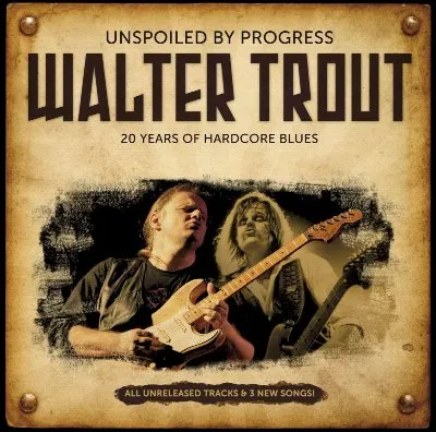 Unspoiled by Progress: 20 Years of Hardcore Blues