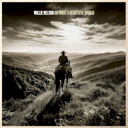 Oh What a Beautiful World album by Willie Nelson