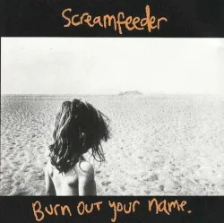 Burn Out Your Name album by Screamfeeder